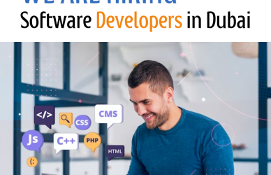 Software Developer jobs in dubai